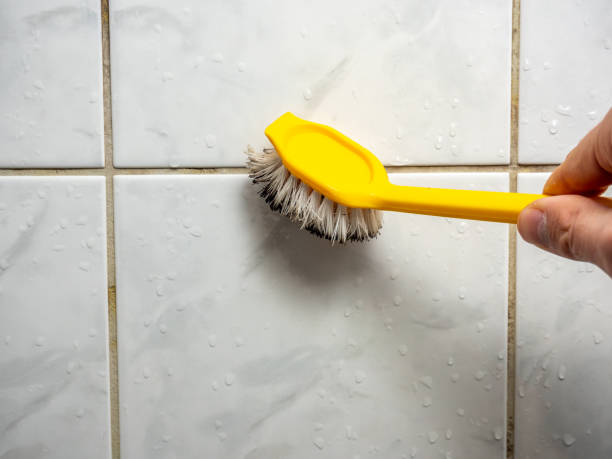 Redland, AL Mold Removal Company