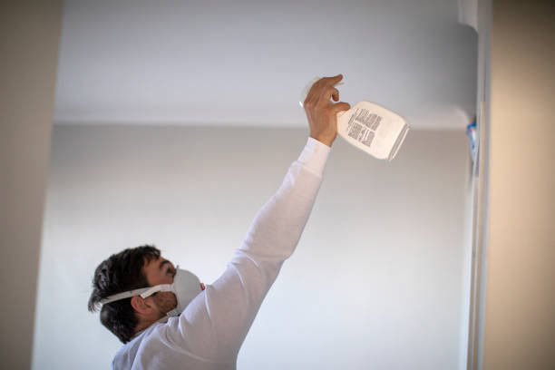 Best Toxic Mold Removal  in Redland, AL