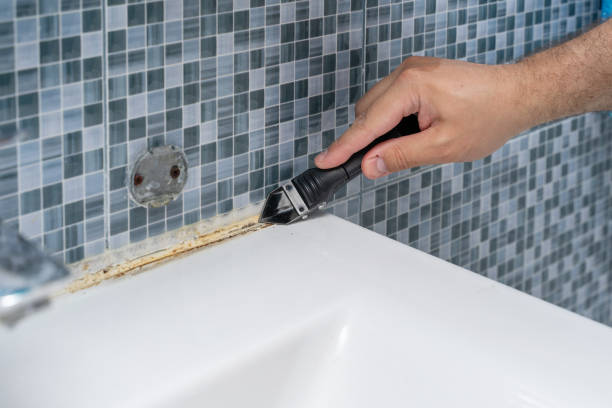 Best Same-Day Mold Removal  in Redland, AL