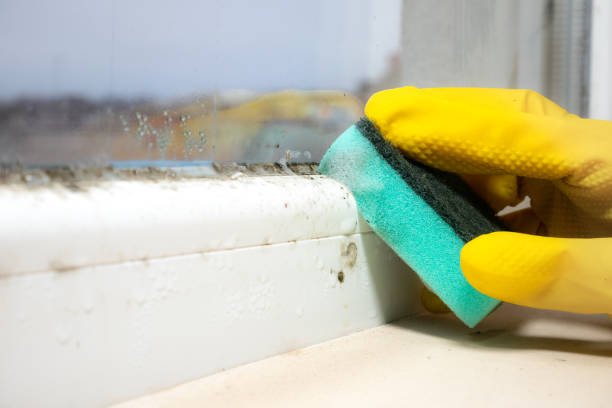 Mold Testing and Removal in Redland, AL